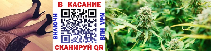 Сколько стоит Новая Ладога Конопля МЕФ Амфетамин Гашиш Кетамин A PVP