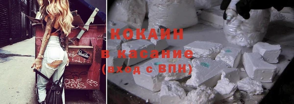бошки Алексин
