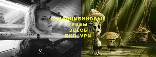 бошки Алексин
