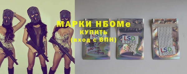 хмурый Алзамай