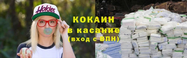хмурый Алзамай