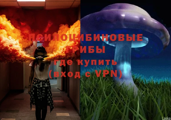 хмурый Алзамай