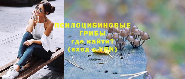 хмурый Алзамай