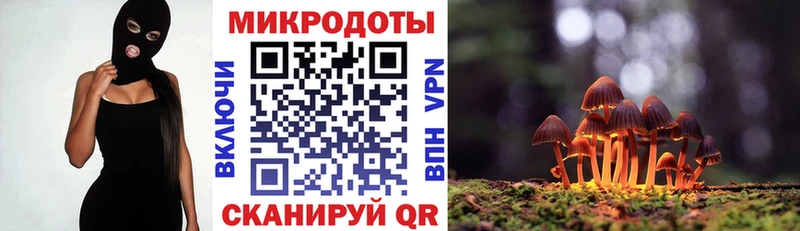Псилоцибиновые грибы ЛСД  Новая Ладога 